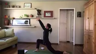 Vinyasa Yoga (one hour) : Well rounded practice