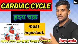 मानव हृदय चक्र,Cardiac Cycles/ in hindi/bwc wala 