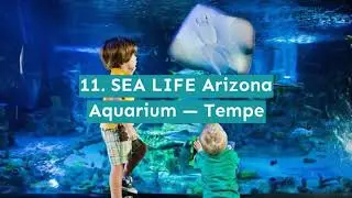 12 Fun Things to Do in Arizona with Kids
