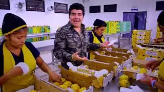 GERARDO MOR&Aacute;N - HOMENAJE A PALORA 