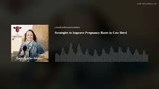 Strategies to Improve Pregnancy Rates in Cow Herd