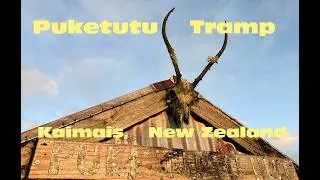 Puketutu tramp - Kaimai's, New Zealand