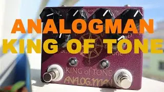 Analogman - King Of Tone ||Gear Spotlight||