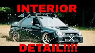 Detailing/Cleaning A TRASHED Interior! Dog Hair, Stains, Mud, Dirt!! HELP!!!