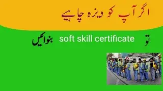 Soft Skills Certificate for overseas pakistanis