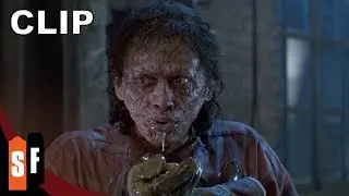 The Fly Collection - The Fly (1986) - Why We Love It (HD)