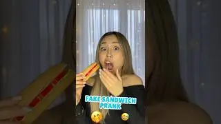 FAKE SANDWICH PRANK #shorts #iribabyworld #prank