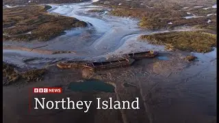 Sunken Thames barges create new island for birds (UK) 28/Jan/2026