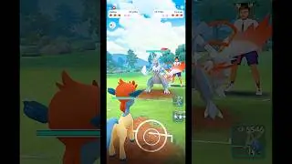 ✨️White Kyurem VS Keldeo PVP Battle in Pok&eacute;mon GO