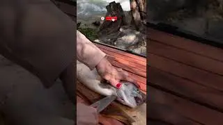 Grilled fish on a fire in the heart of nature 🪵🌿.           #campfirecooking #grilling  # nature