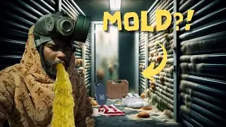 ENDANGERING MY LIFE BUYING THIS $130 STORAGE UNIT