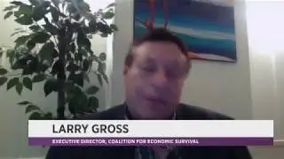Coalition for Economic Survival's Larry Gross on Spectrum 1 