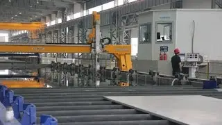 Plate Inspection System