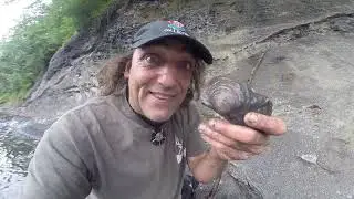 Epic Rare Heteromorphs And Fossil Clam Found Canada