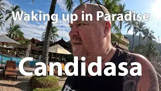 Пробуждение в Кандидасе