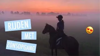 🐴 - TREC op STAL ‘T REELAER 2019 /donderdag/ | !lse vlog #25