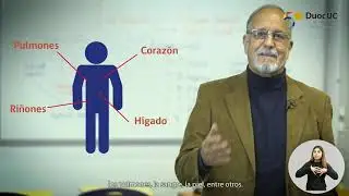 Ponte en mi lugar - Discapacidad Visceral - Campa&ntilde;a de Inclusi&oacute;n en Duoc UC