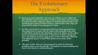 Evolutionary Mate Selection and Bonding