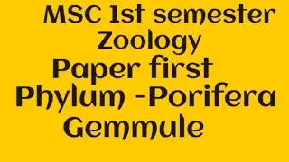 Gemmule!! Phylum-Porifera#msc1st semester Zoology#paper-first#zoology#bsc#gemmule#bsc#tgtpgtexam#yt#