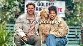 What Owning A Golden Retriever Is REALLY Like