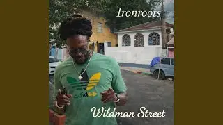 Wildman Street