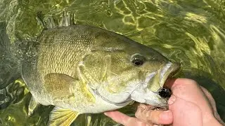 Southern Ontario Fishing Forecast - July 9th