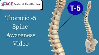 spine awareness video T5