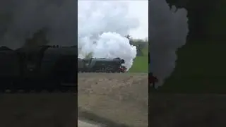 Flying Scotsman ROARS up the Hampshire Alps at the Mid Hants Railway #shorts #steam #flyingscotsman