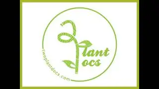 Laundry Soap Concentrate from Two Plant Doctors