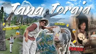 JANGAN LARI😫 INI TENGKORAK ASLI MANUSIA ‼️