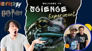 Frog experiment | Inspired by #harrypotter | 