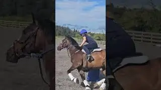 practice makes permanent #hardworkmakesthedreamswork #aimhigh #workhardatyourgoals #horse #ponygames