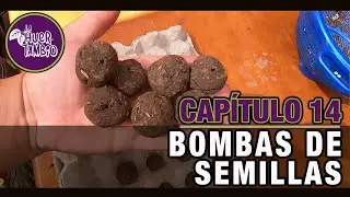 BOMBAS DE SEMILLAS | CAP14 | LA HUERTAMBIO
