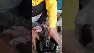 governor setting #sorts #dieselengineripeiring #youtubeshorts