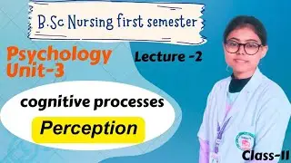 Bsc nursing first semester psychology|Unit-3|Cognitive processes|lecture-2|Perception