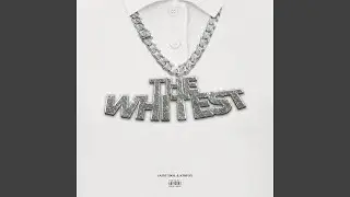 THE WHITEST