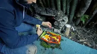 Building a tree hole shelter Part 2 #bushcraft #camp #camping #shelter #survival #wildlife #Outdoors