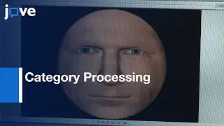 Perceptual Processing: Uncanny Valley Hypothesis' Dimension-Human Likeness l Protocol Preview