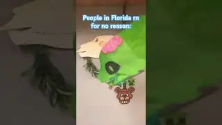 Like help 😭😭🙏 #florida #hurricane #art #artist #dragonpupets #paperdragons #viralvideo #fyp
