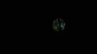 Sirius plays all the colors and dance to ALEX Music @ConspiracyMusicGuru  #432Hz #Nikon #P1100