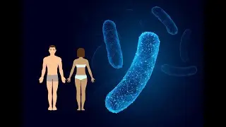 New Techniques to Diagnose Dangerous Bartonella Infections