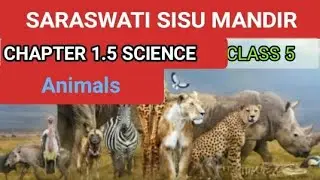Animals CHAPTER 1.5 SCIENCE UNIT 1 || CLASS 5 || SARASWATI SISU MANDIR