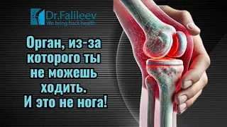 Орган, из-за которого ты не можешь ходить. И это не нога..! 