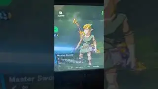 Zelda BOTW 100% finally done!!!