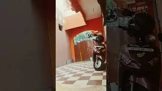 #cricket how to aim and throw the ball#crazycricket