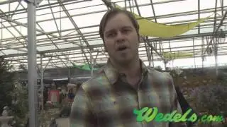 Organic Bountea talks nutrition for families using organic products at Wedels Spring Expo