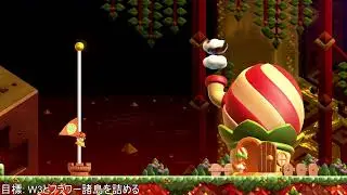 SMBW: Crouching High Jump 1 備考あり