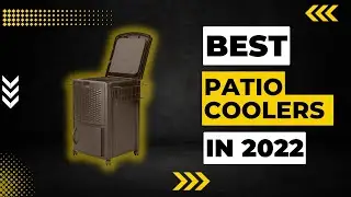 Best Patio Coolers in 2023