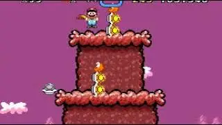 Super Brutal Mario - Grassland Star - Level 63