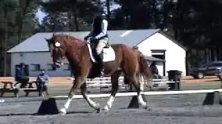 MOV00231